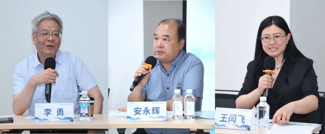 P1.jpg